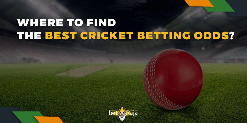 Where do we find the best cricket betting odds