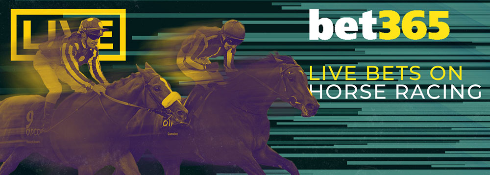 Live betting on horse racing in India
