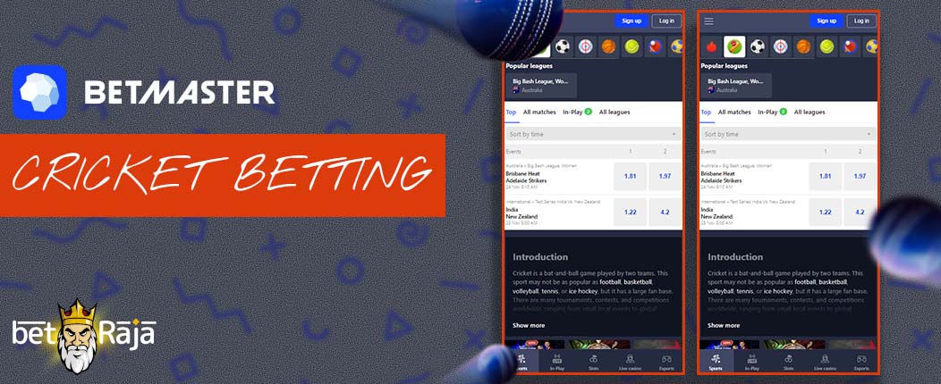 Cricket betting options on Betmaster.