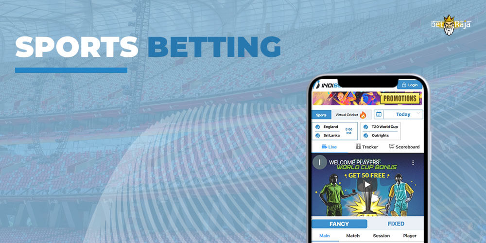 Sports Betting on the Indibet App
