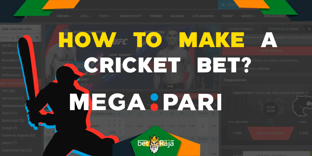 How to make a cricket bets.