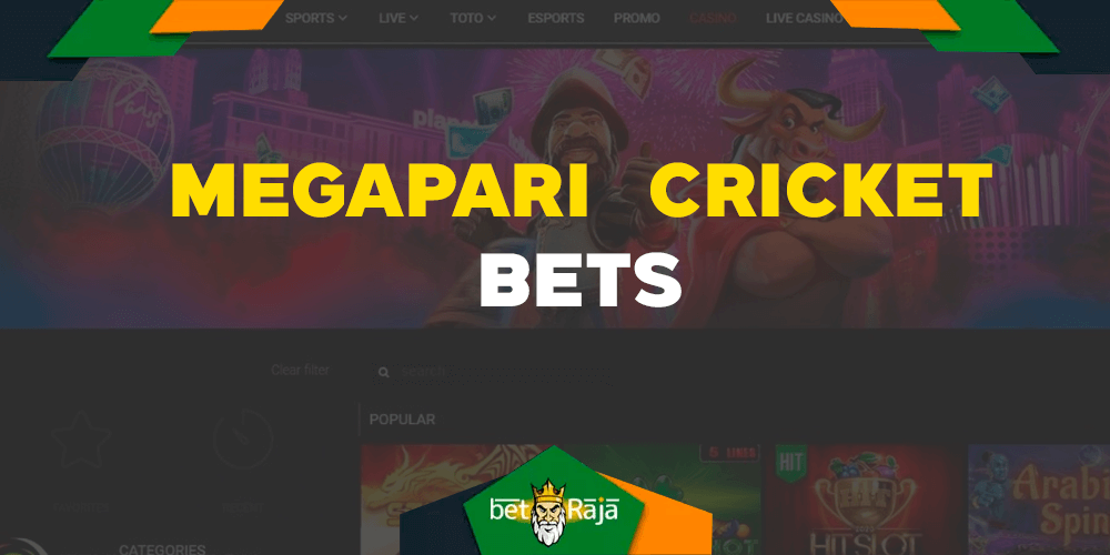 All cricket bets available on the Megapari betting site.