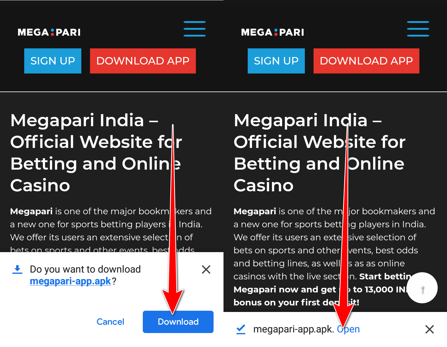 megapari app install and open