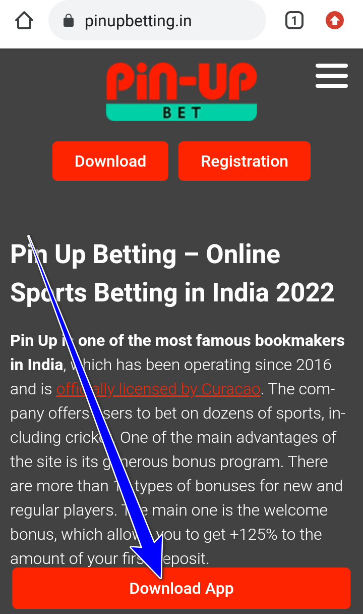 pin-up india apk download