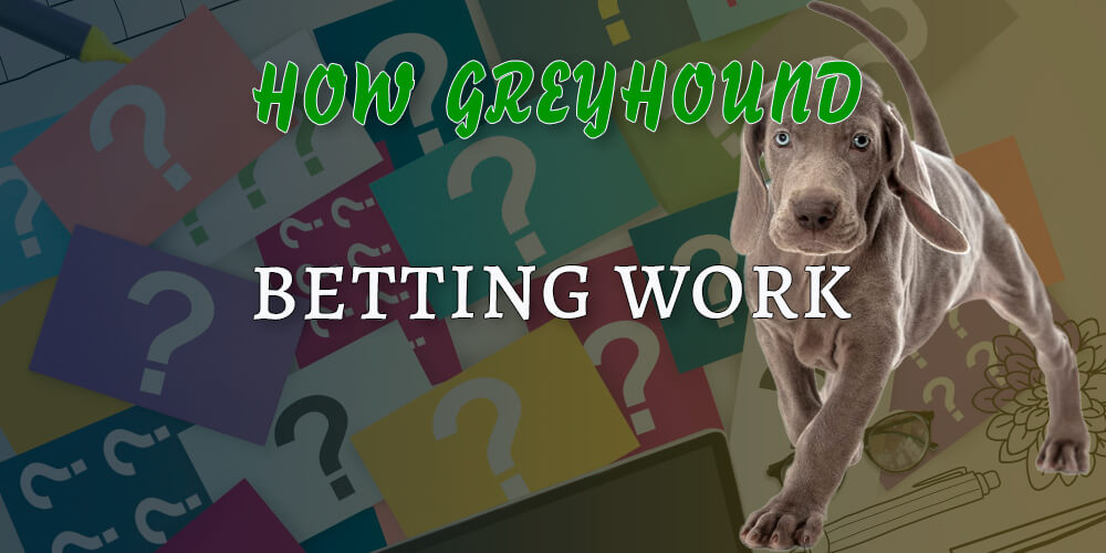 How greyhound racing really works