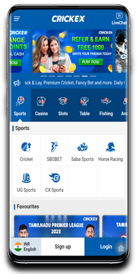 Image of the main application screen Crickex
