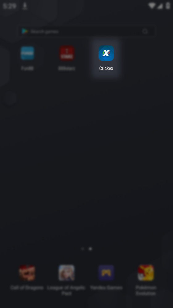 Crickex app icon on your Android device