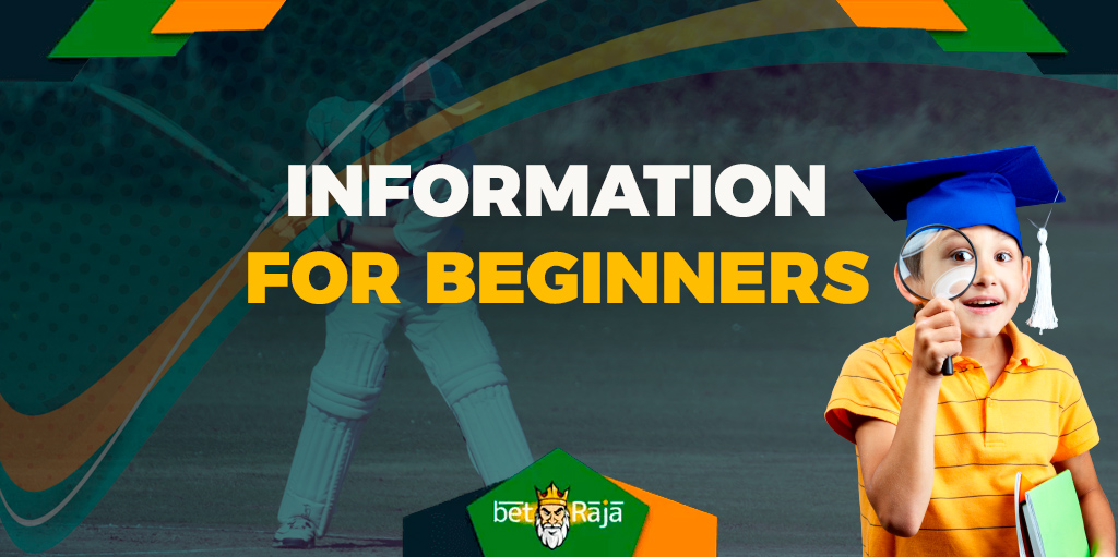 Perfect cricket betting guide for beginners