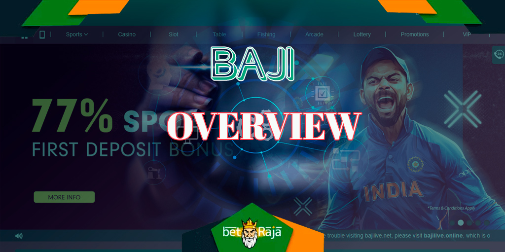 BAJI - detailed review of the official website