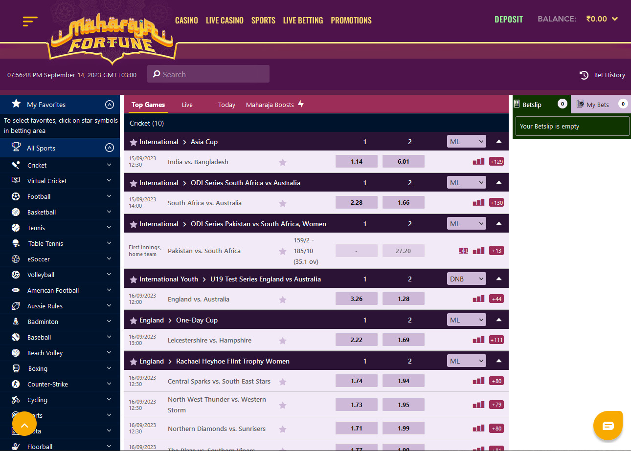 All available types of bets on the Maharaja Fortune website.