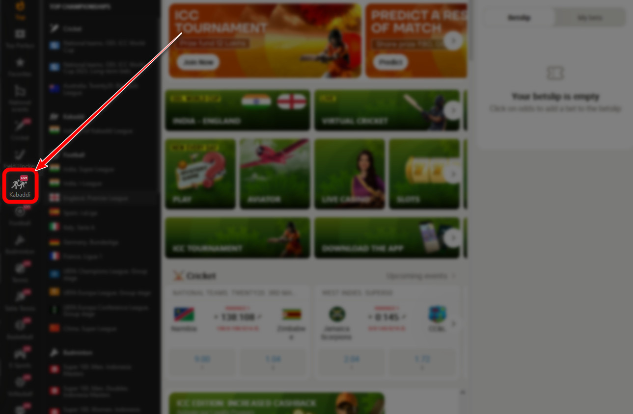 Find the "Kabaddi" tab in the sports menu on the bookmaker's website.