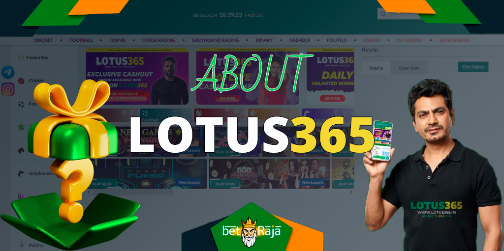 All the necessary information about the bookmaker Lotus365