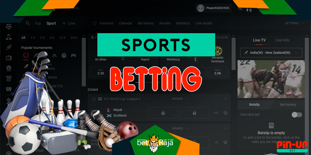 All kinds of sport on Pin-up betting site.