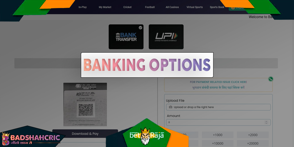 Various banking options available on Badshahcric, including for credit/debit cards, e-wallets, and bank transfers.