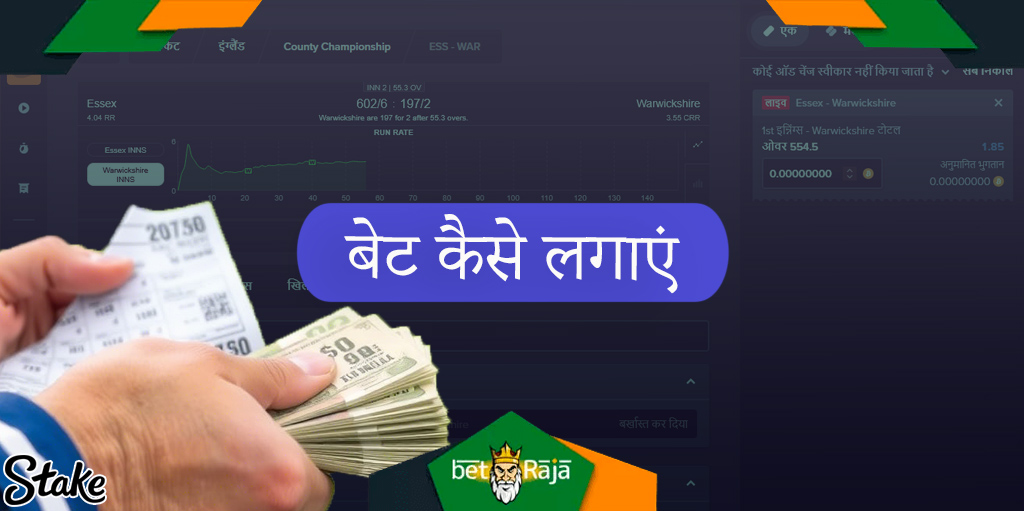 Step -by -step निर्देशों पर निर्देश कैसे Stake.com साइट पर दांव लगाने के लिए